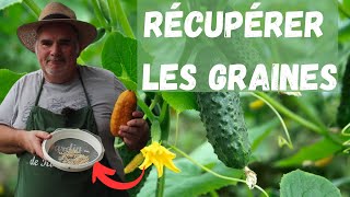 Comment récupérer ses propres graines de cornichons [upl. by Emsmus]