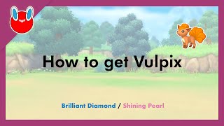 How to get Vulpix in Pokémon Brilliant Diamond amp Shining Pearl 037 [upl. by Herm]