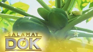 Salamat Dok Health benefits of Papaya [upl. by Namrac]