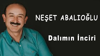 Neşet Abalıoğlu Dalımın İnciri [upl. by Seiuqram]