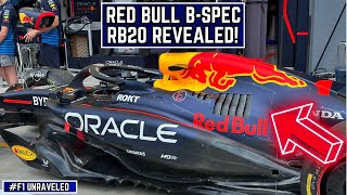 Red Bull UNLEASH quotGame Changingquot BSpec RB20 at Hungarian GP  F1 2024 [upl. by Letnahc]