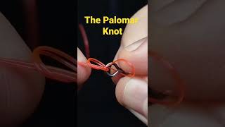 The Palomar Knot for Fishing [upl. by Andee756]