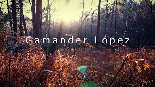 Wildlife Filmmaking Trailer 20172018  Gamander López [upl. by Budworth]