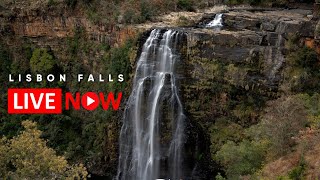 Lisbon Falls Relaxing Live Stream Full HD Africam [upl. by Alegnave394]