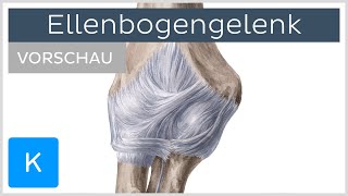 Ellenbogengelenk  Aufbau und Funktion Vorschau  Kenhub [upl. by Anomas621]