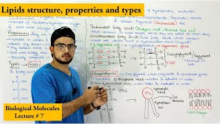 Lipids Structure types and Functions Part 1 [upl. by Prestige]