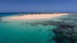 Snorkeling Marsa Alam Red SeaEgypt Hamata Islands Tour Egyptian MaldivesAugust 2019 [upl. by Novets]