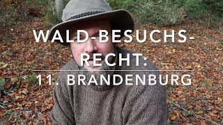 Brandenburg  Waldbesuchsrecht nach Bundesländern 11 [upl. by Lewiss334]