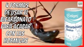 🔴 ¿CÓMO ELIMINAR Y ACABAR CON LAS HORMIGAS EN CASA PARA SIEMPRE 🔴 BICARBONATO PARA LAS HORMIGAS [upl. by Nomrah]