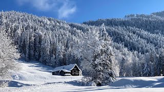 Toggenburg das schöne Steintal  Ebnat Kappel   Jodlerklub EbnatKappel  Naturjodel Em Köbi sin [upl. by Naujik]