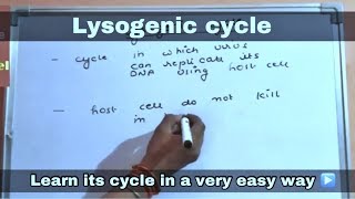 Lysogenic cycle in hindi ll biology ll [upl. by Nilla]