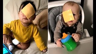 Cheesed Challenge Compilation  Viral New trend  Funniest cheesed babies  Cheese slice on baby [upl. by Millda]