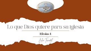 Julia Triunfel  Efesios 4  Lo que Dios quiere para su iglesia [upl. by Ecallaw292]