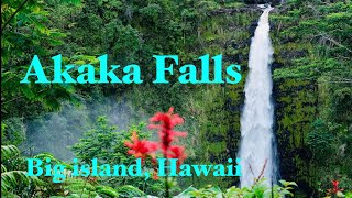 Hawaii Best Waterfalls  Akaka Falls  Big Island Hawaii [upl. by Neelyk]