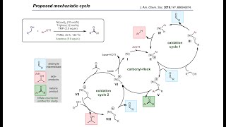 Synthesis Workshop Nickelcatalyzed Ketone Synthesis with Dr Thomas Verheyen Episode 53 [upl. by Shaylah]