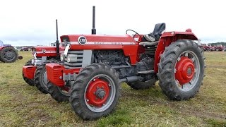 Massey Ferguson 135 amp 178  4WD  Walkaround  American Ferguson Days  Tjele Gods [upl. by Scales]