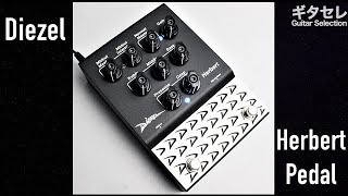 【ギタセレ・レビュー】新製品 Diezel ”Herbert Pedal”を弾いてみた！脳天直撃のサウンド！ [upl. by Janet]