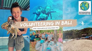 VOLUNTEERING IN BALI  the BEST decision of my life  sea turtle conservation with IVHQ pt 1 [upl. by Yrocaj]