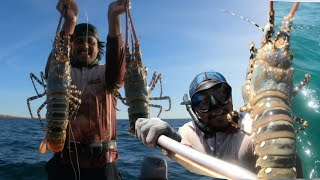 CRAY FISH CATCH AND COOK BROOME WA [upl. by Harahs]