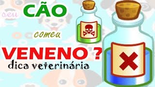 INTOXICAÇÃO EM CÃES  O QUE FAZER [upl. by Teak55]