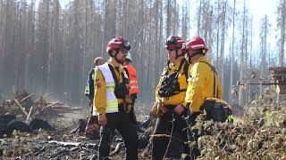 Waldbrand im Harz Waldbrandteam nahe Schierke mit Feuerwehr Polizei THW und Bundeswehr im Einsatz [upl. by Stannfield516]