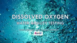 How to Measure Dissolved Oxygen in Water [upl. by Layap]