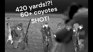 60 Coyotes VS RANCHER BEST 2023 COYOTE HUNTING MONTAGE [upl. by Florio39]