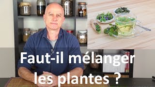 Fautil mélanger les plantes ou les prendre seules [upl. by Hammock]