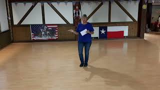 Wintergreen Lernvideo Teach amp Dance Line Dance Biene Teil 1 [upl. by Nwaf]