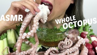 WHOLE OCTOPUS  ASMR NO TALKING EXTREME SAVAGE Eating Sounds  NE Lets Eat [upl. by Ahsiakal345]