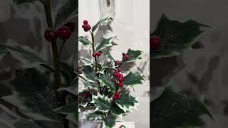 Raz 31quot Glittered Variegated Holly Christmas Tree Spray F4422631 [upl. by Freya]