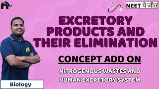 Excretory Products And their Elimination Class 11 NEET  Human Excretory System  Biology [upl. by Naujled192]