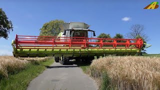 Getreideernte Mähdrescher Claas LEXION 770 TT combine harvester Lebensmittel aus der Landwirtschaft [upl. by Bashuk468]