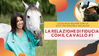 La relazione di fiducia con il cavallo 1  Equindi Parliamone  Etologia Equina Malavasi [upl. by Hanikas51]