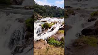 Pykara Waterfalls pykara waterfall ooty [upl. by Avika530]