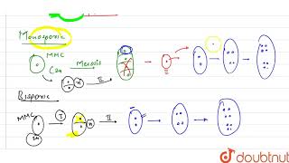When a embryo sac develop from a single megaspore called monosporic development [upl. by Immot360]