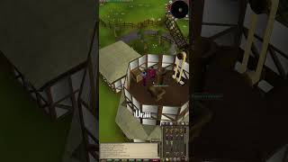 5 Easy Clue Scrolls in 56 seconds 📜🍃 Ep 4 osrs runescape [upl. by Rebma]