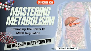 Mastering Metabolism Unveiling the Power of AMPK Regulation 🔬 [upl. by Twelve]