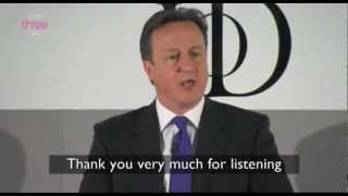 Honest Subtitles David Cameron [upl. by Eelyah]