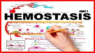 HEMOSTASISBLOOD CLOTTING MECHANISM part 1Natural Anticoagulants [upl. by Yddub]