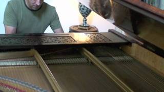 Chopin  Barcarolle Op60 played by Olivier Mallory on Erard concert grand piano 1880 [upl. by Edualc]