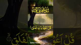 Surah Al Falaq Beautiful Recitation love quran shorts [upl. by Mathis]