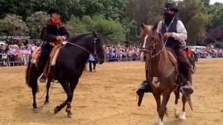 WILD WEST  Miron Bococi quot FreeStyle Horse Showquot [upl. by Yaresed8]