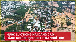 Nước lũ ở Đồng Nai dâng cao hàng nghìn học sinh phải nghỉ học  Báo Lao Động [upl. by Anrol]