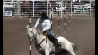 Western Disciplines  Reining Cutting Barrel Racing Western Pleasure Roping Pole Bending Trail [upl. by Kurman]