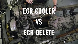 EGR Delete or EGR Cooler [upl. by Nytsirhc]