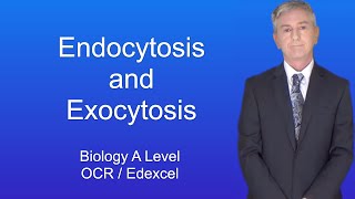 Cell Transport Endocytosis amp Exocytosis [upl. by Cherlyn]