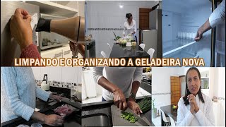 Dia de organizar a geladeira nova separando e datando as carnes e o que fiz da outra geladeira [upl. by Holms]