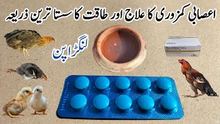 Vitamin Deficiencies in Poultry  Neurobion Tablets for Chickens  Dr ARSHAD [upl. by Ahsitra]