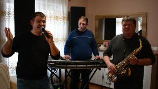 Formatia SELECT Satu Mare  LIVE  Spune omule de ce cover [upl. by Jemy]